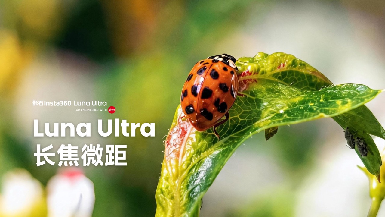 Luna Ultra 长焦微距教程